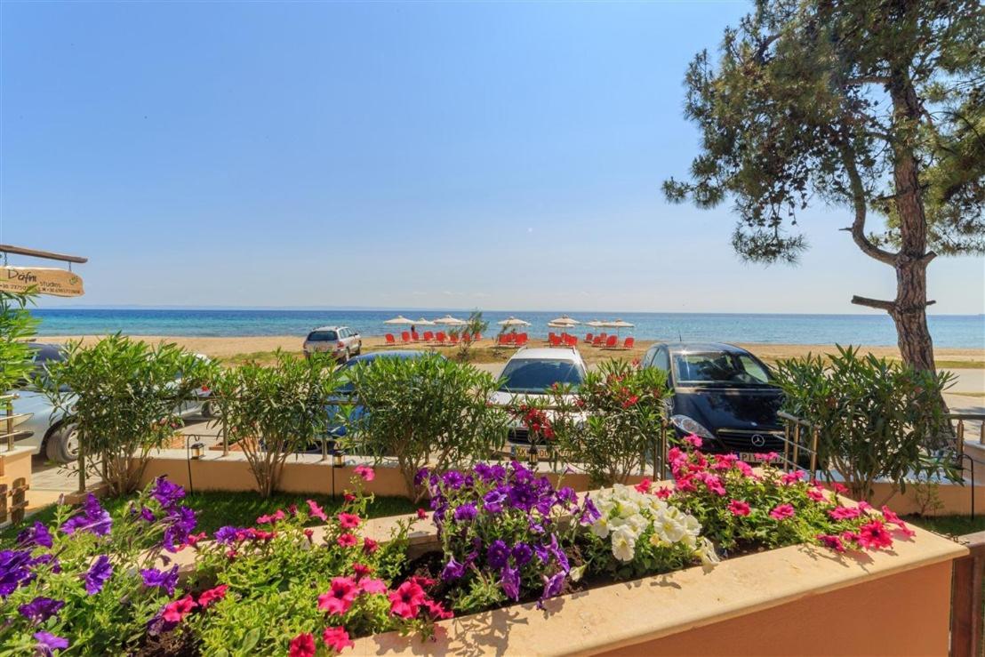Studio Nikiti Beach المظهر الخارجي الصورة